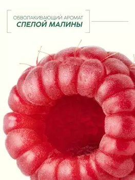 Гель для душа, увлажнение и уход, аромат малины, 400 мл, рябина