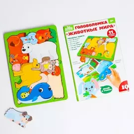 Головоломка с книгой