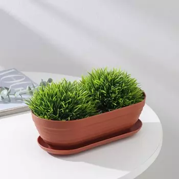 Горшок для кактуса с поддоном