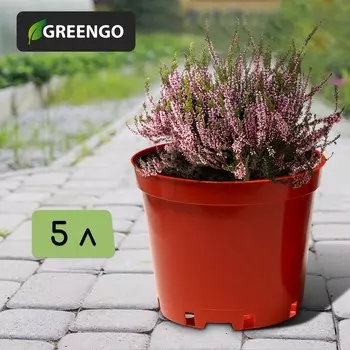 Горшок для рассады, 5 л, d = 22 см, h = 18 см, терракот, greengo