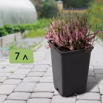 Горшок для рассады, 7 л, d = 21 см, h = 27,5 см, черный