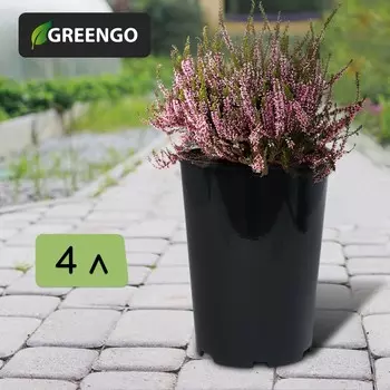 Горшок для рассады, для роз, 4 л, d = 18 см, h = 21,5 см, черный, greengo