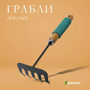 Грабли малые, прямые, 5 зубцов, длина 29 см, металл, деревянная ручка с поролоном, greengo