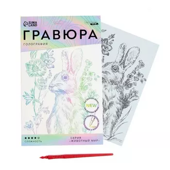 Гравюра