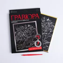 Гравюра в рамке