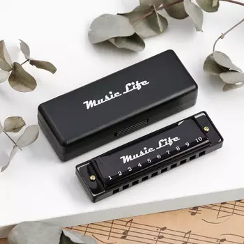 Губная гармошка music life, диатоническая, c-major, с футляром, черная