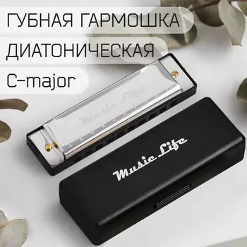 Губная гармошка music life, диатоническая, c-major, с футляром, серебристая