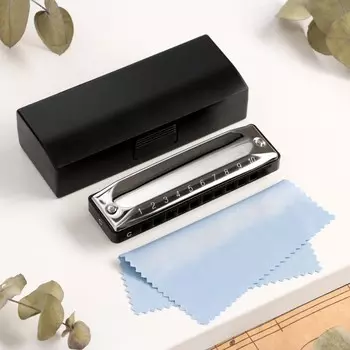 Губная гармошка music life t002 c диатоническая, 10 отверстий, с футляром