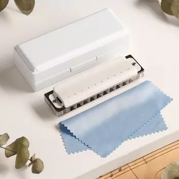 Губная гармошка music life t008l c диатоническая, 10 отверстий, с футляром