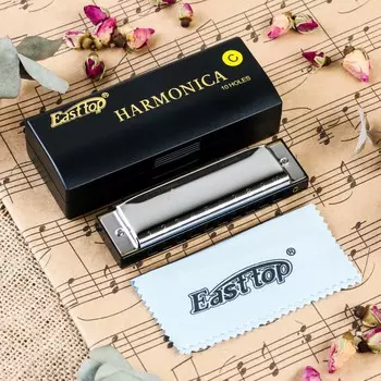 Губная гармошка music life t10-3 диатоническая, 10 отверстий, с футляром