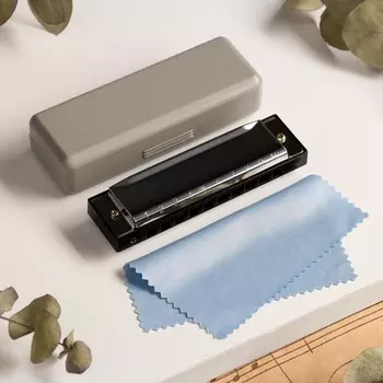 Губная гармошка music life t10-4 диатоническая, 10 отверстий, с футляром