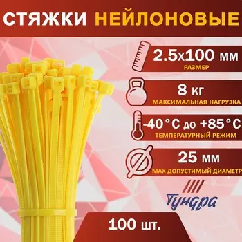 Хомут нейлоновый для стяжки, тундра, 2,5х100 мм, желтый, 100 шт