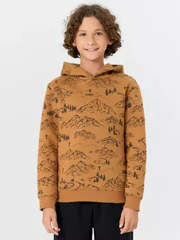 Худи для мальчиков коричневое с принтом