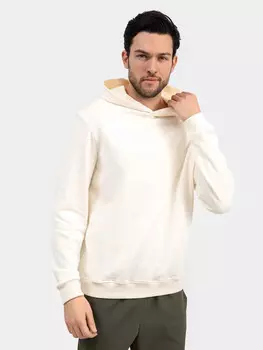 Худи мужское теплое в цвете