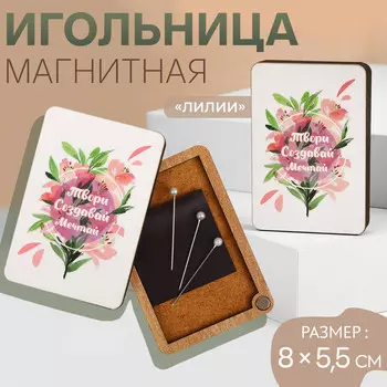 Игольница магнитная