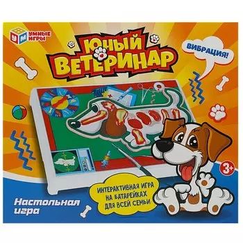 Игра настольная Умные игры 1410K968-R