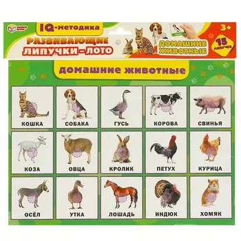 Игра настольная Умные игры 4660254430495