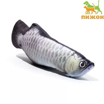Игрушка