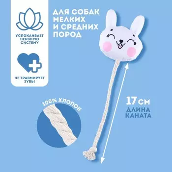 Игрушка для собак