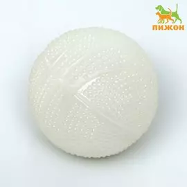 Игрушка для собак, светящаяся в темноте,