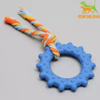 Игрушка для собак жевательная с канатом