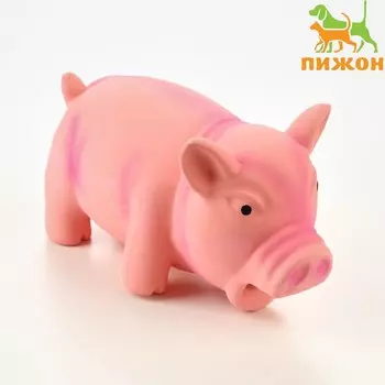 Игрушка хрюкающая для собак из латекса