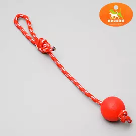 Игрушка несгрызаемая