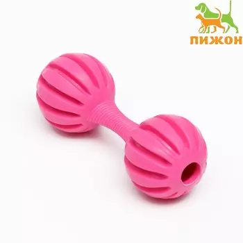 Игрушка жевательная