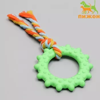 Игрушка жевательная с канатом