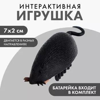 Интерактивная игрушка для кошек