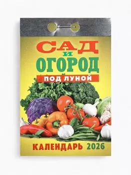 Календарь 2026 отрывной