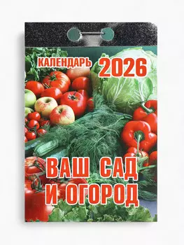 Календарь 2026 отрывной