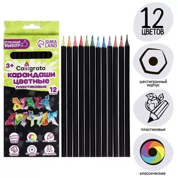 Карандаши 12 цветов calligrata,