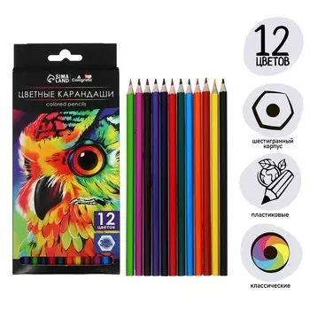 Карандаши 12 цветов calligrata soft, заточенные, шестигранные, пластиковые, картонная упаковка, европодвес
