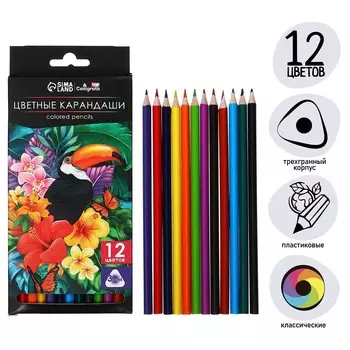 Карандаши 12 цветов calligrata soft, заточенные, трехгранные, пластиковые, картонная упаковка, европодвес