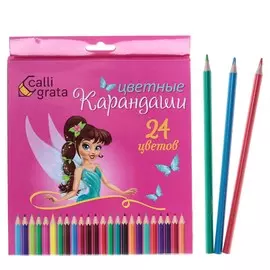 Карандаши 24 цвета, calligrata,