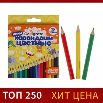 Карандаши calligrata цветные, 12 цветов, деревянные, трехгранные, мини