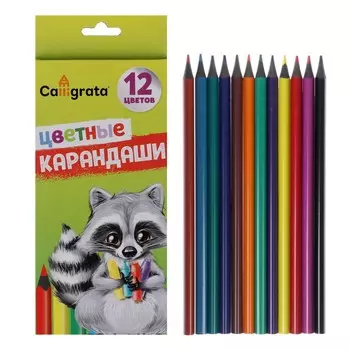 Карандаши calligrata цветные заточенные, 12 цветов, в картонной коробке
