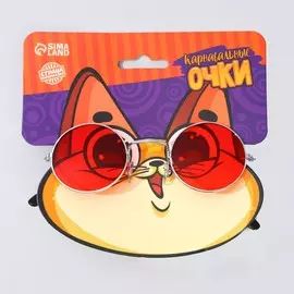 Карнавальный аксессуар- очки