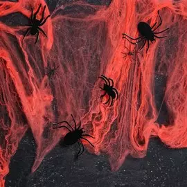 Прикол паутина