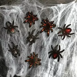 Прикол паутина