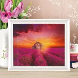 Картина по номерам на холсте