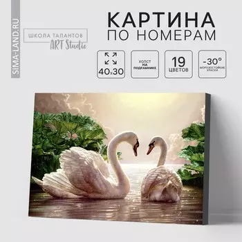 Картина по номерам на холсте с подрамником