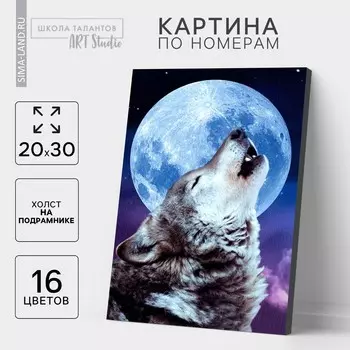 Картина по номерам на холсте с подрамником