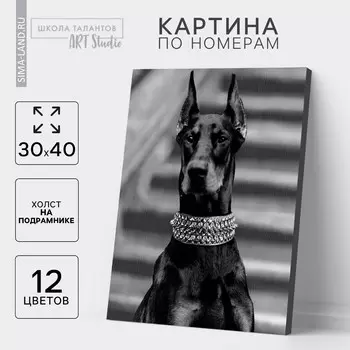 Картина по номерам на холсте с подрамником