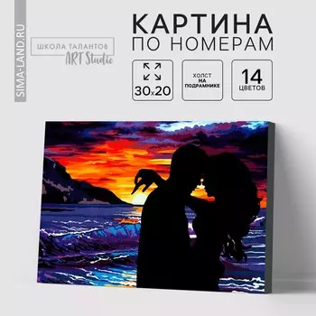 Картина по номерам на холсте с подрамником