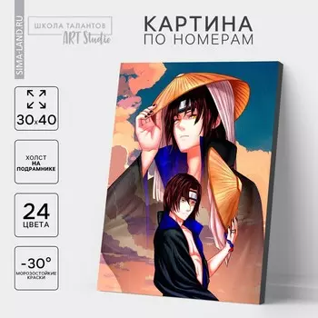 Картина по номерам на холсте с подрамником