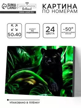 Картина по номерам на холсте с подрамником