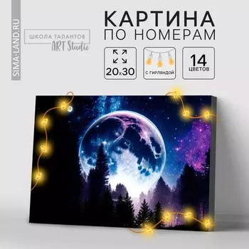 Картина по номерам с подрамником и гирляндой