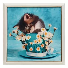 Картина велюр